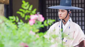 Zasłona do serialu "100 Days My Prince" #1560113