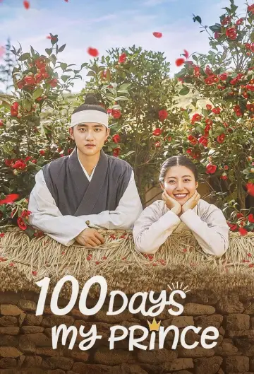 Plakat do serialu "100 Days My Prince" #1560124