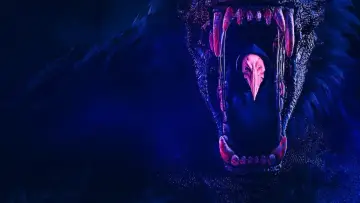 Zasłona к сериалу "The Order" #1442032