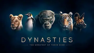 Zasłona к сериалу "Dynastie" #1490099