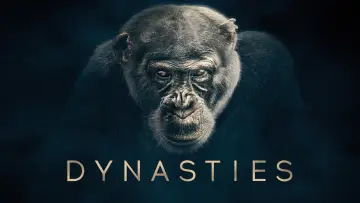 Zasłona к сериалу "Dynastie" #1490103