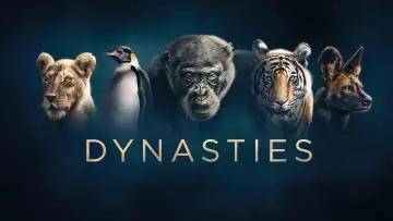 Zasłona к сериалу "Dynastie" #1490111
