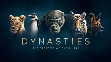 Zasłona к сериалу "Dynastie" #1490112