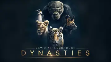 Zasłona к сериалу "Dynastie" #1490113