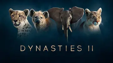 Zasłona к сериалу "Dynastie" #1490116