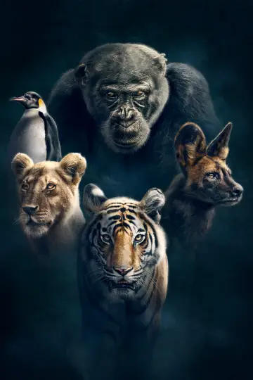 Plakat к сериалу "Dynastie" #1490129