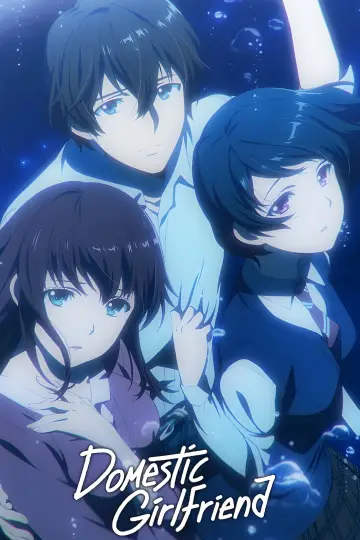 Plakat к сериалу "Domestic na Kanojo" #1457468