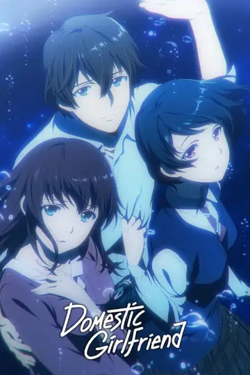 Plakat к сериалу "Domestic na Kanojo" #1457469