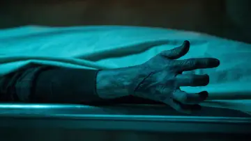 Zasłona к сериалу "Gabinet osobliwości Guillermo del Toro" #1412709