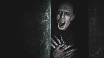 Zasłona к сериалу "Co robimy w ukryciu" #1321386