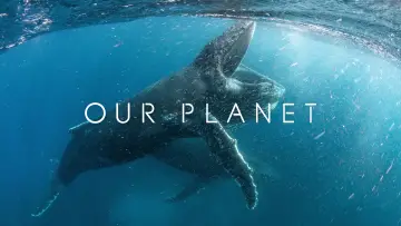 Zasłona к сериалу "Nasza planeta" #1454612
