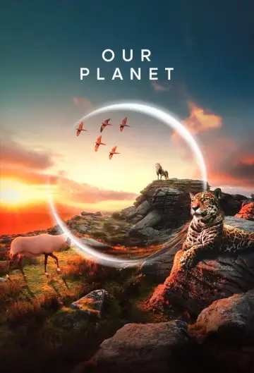 Plakat к сериалу "Nasza planeta" #1454642