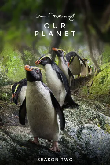 Nasza planeta 2