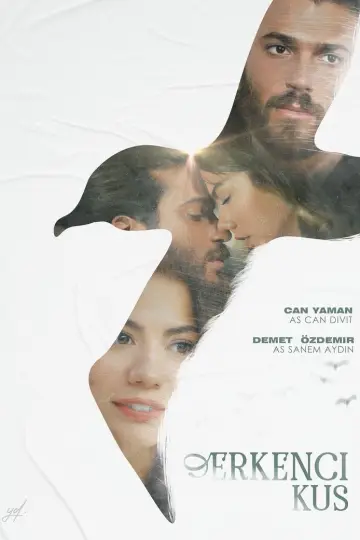 Plakat к сериалу "Wymarzona miłość" #1360724