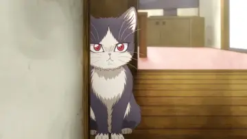 Zasłona do serialu "Doukyonin wa Hiza, Tokidoki, Atama no Ue" #1868739