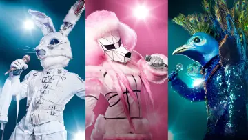 Zasłona к сериалу "The Masked Singer" #1346145