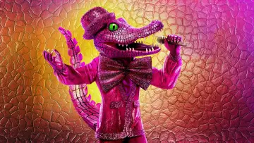 Zasłona к сериалу "The Masked Singer" #1346173
