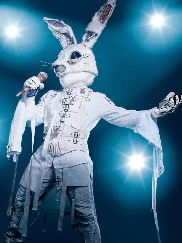 Plakat к сериалу "The Masked Singer" #1346216