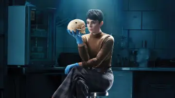 Zasłona к сериалу "Koroner" #1409920