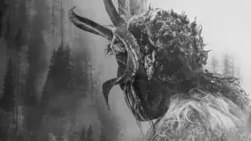 Zasłona к сериалу "Granica zbrodni" #1463234