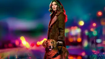 Zasłona к сериалу "In the Dark" #1421704