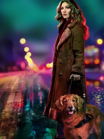 Plakat к сериалу "In the Dark" #1421716