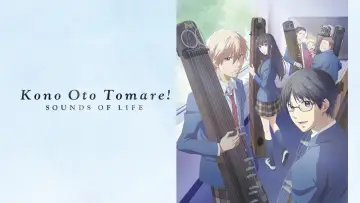 Zasłona к сериалу "Kono Oto Tomare!" #1433256