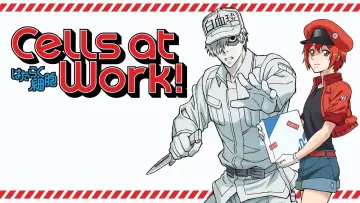Zasłona к сериалу "Hataraku Saibou" #1352812