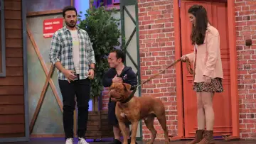 Zasłona do serialu "Çok Güzel Hareketler 2" #1548208