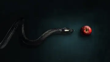 Zasłona к сериалу "Evil" #1321498