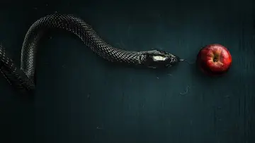 Zasłona к сериалу "Evil" #1321517