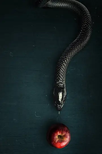 Plakat к сериалу "Evil" #1321580