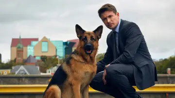 Zasłona к сериалу "Hudson i Rex" #1299442