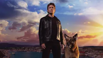 Zasłona к сериалу "Hudson i Rex" #1299444