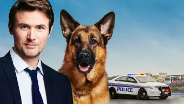 Zasłona к сериалу "Hudson i Rex" #1299452