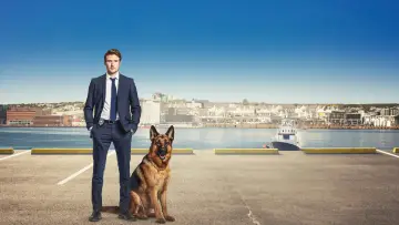 Zasłona к сериалу "Hudson i Rex" #1299467