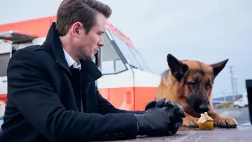 Zasłona к сериалу "Hudson i Rex" #1299468