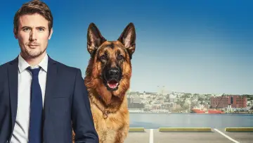 Zasłona к сериалу "Hudson i Rex" #1299470