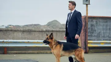 Zasłona к сериалу "Hudson i Rex" #1299472