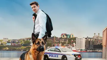 Zasłona к сериалу "Hudson i Rex" #1299477