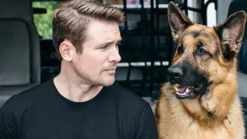 Zasłona к сериалу "Hudson i Rex" #1299480