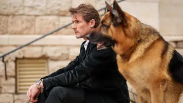 Zasłona к сериалу "Hudson i Rex" #1299483