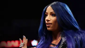 Zasłona do serialu "WWE Chronicle" #1595766