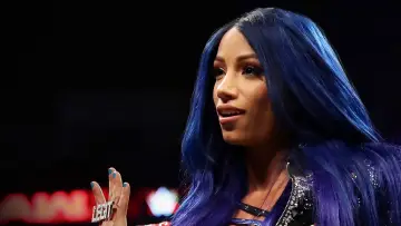 Zasłona do serialu "WWE Chronicle" #1595768