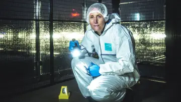 Zasłona do serialu "Medycyna sądowa: Prawdziwe CSI" #1555912