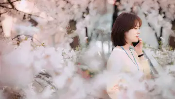 Zasłona do serialu "One Spring NIght" #1805206