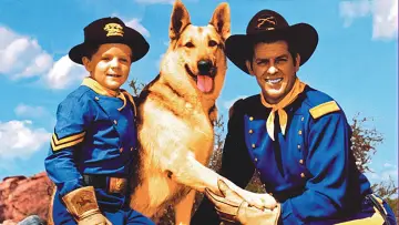 Zasłona do serialu "Les Aventures de Tintin, d