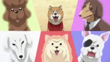 Zasłona do serialu "Oda Cinnamon Nobunaga" #1722686