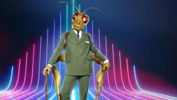 Zasłona do serialu "The Masked Singer" #1654718