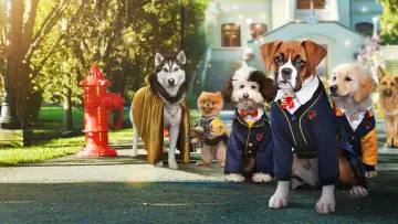 Zasłona к сериалу "Psia Akademia" #1447054